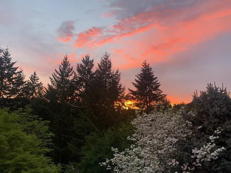 Edgeview Ln, Forest Grove — Photo 3