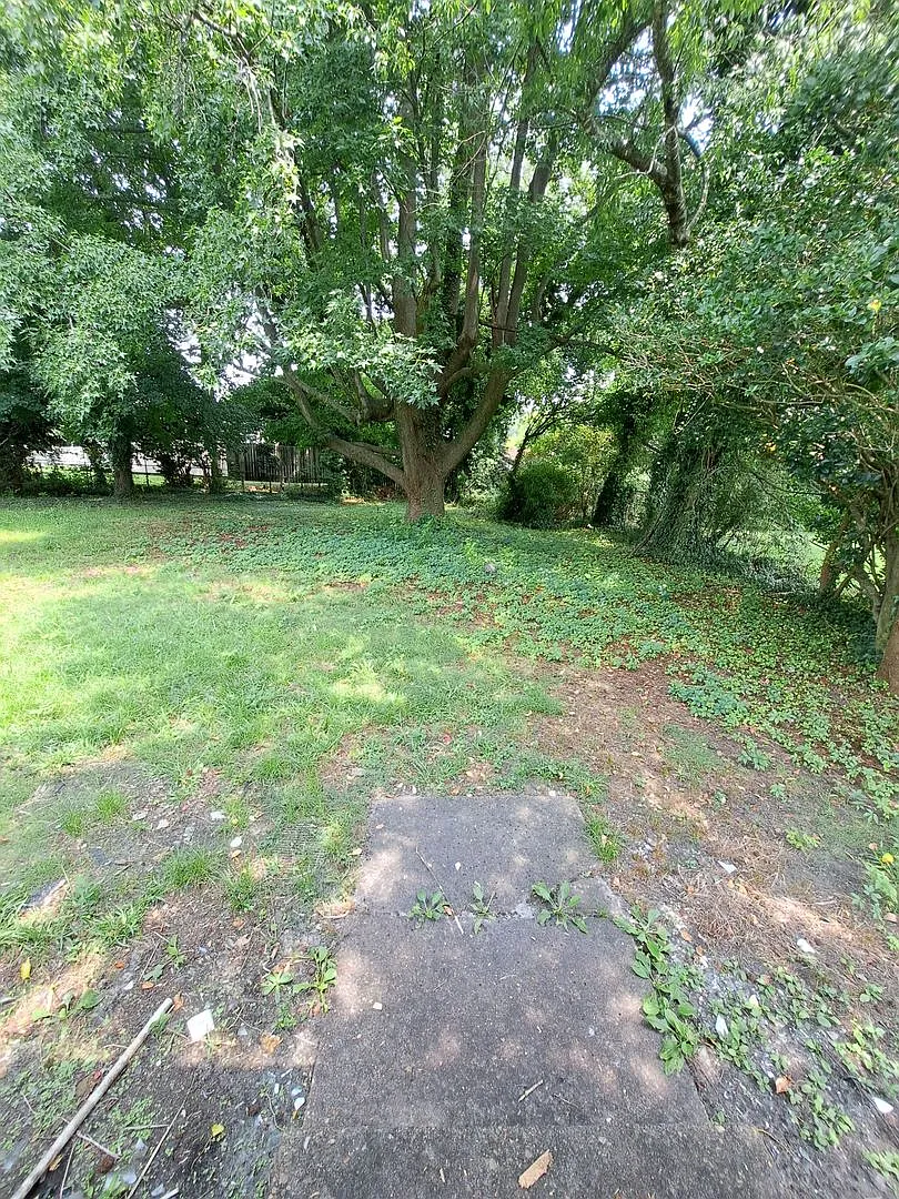 387 385 Carver circle — Photo 4