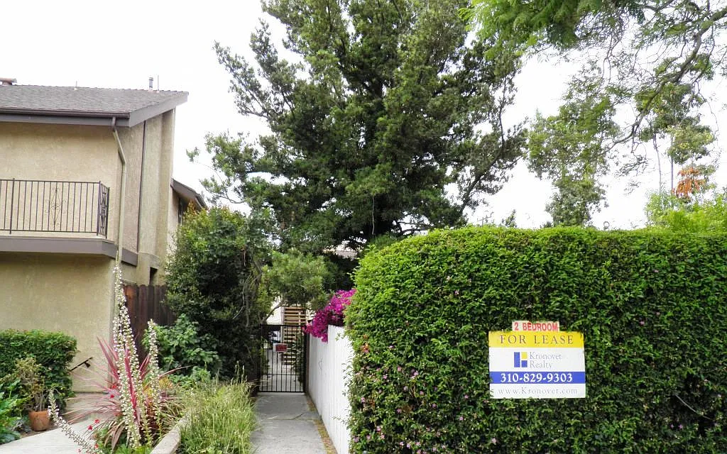 2 bed, 1000 sqft, $2,975 — Photo 2