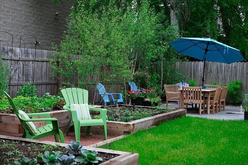Backyard