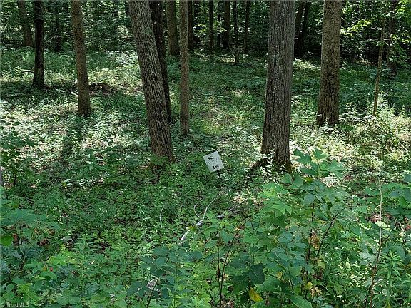 2nd image of LOT 14 Elk Creek Mountain Pkwy