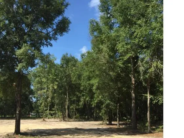 2350 NE 80th Ave, High Springs, FL 32643