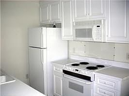 3rd image of 2417 Goose Branch Dr