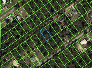 1015 Dearing St, Lake Placid, FL 33852