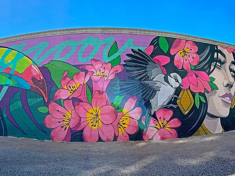 Groov Studios — Photo 25