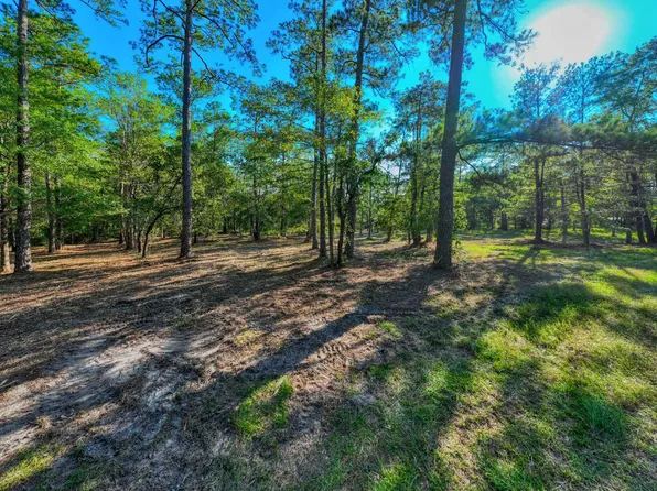 036130-2-2X Landsend Dr, Brookeland, TX 75931