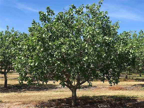 3rd image of 17981 Los Cerritos Rd