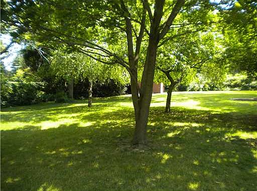 4th image of 169 Tanglewood Dr