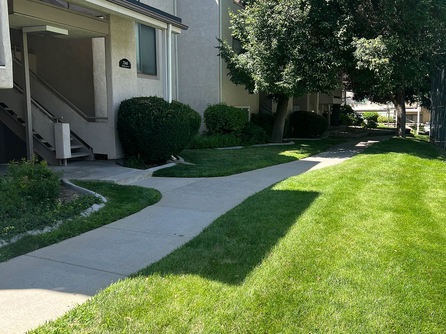 1 bed, 700 sqft, $1,295 — Photo 2