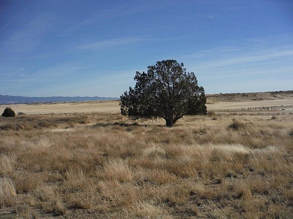 2nd image of 11465 N Cowboy Trl