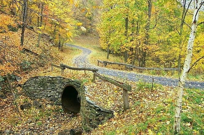 Preserve at New Creek Lake