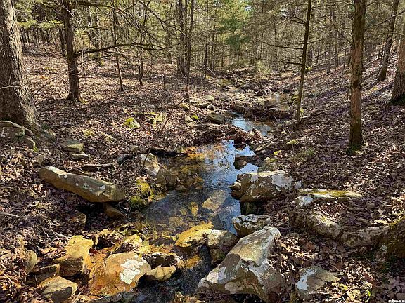 2nd image of 170 Enders Rd