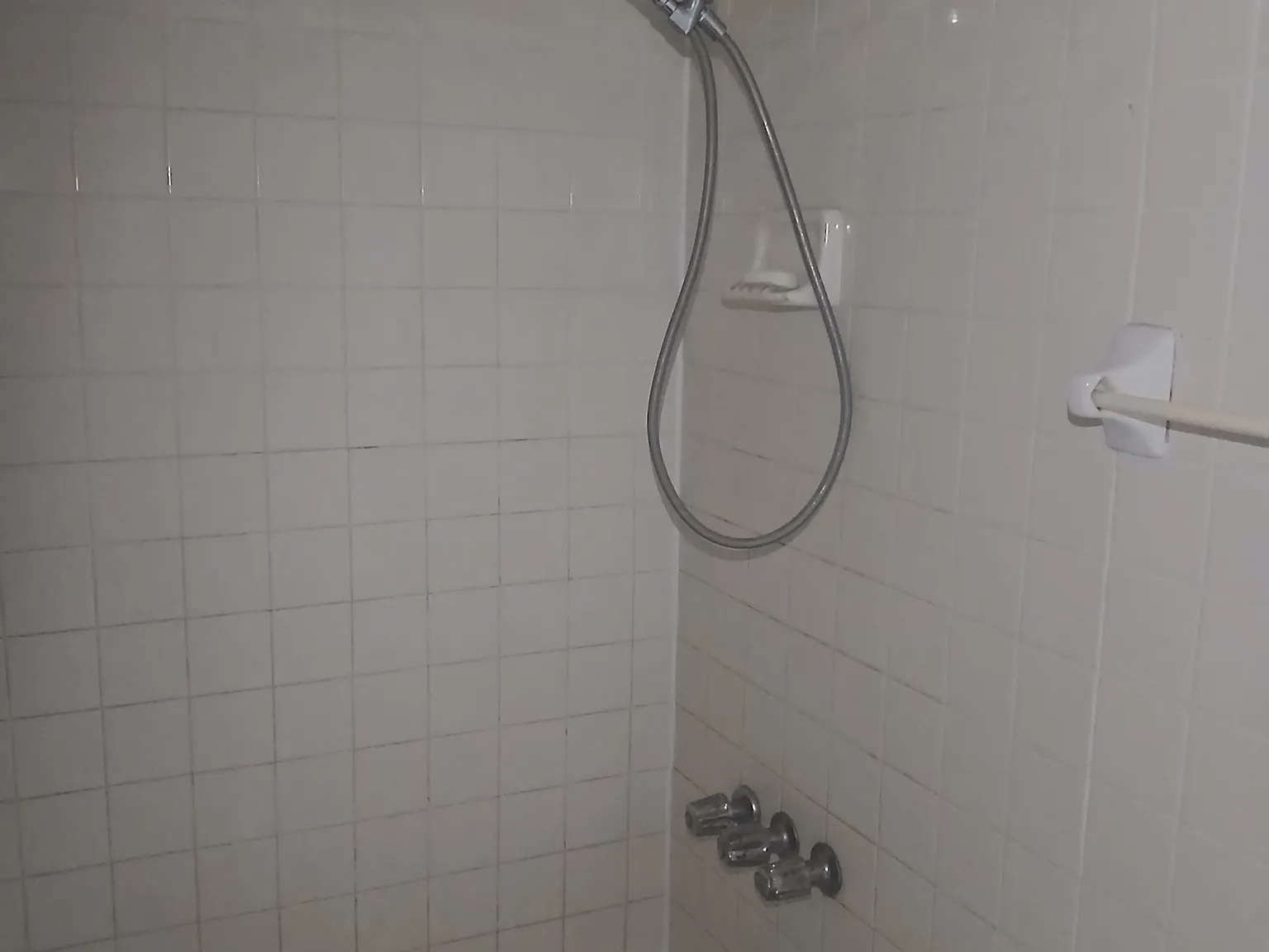 2 bed, 972 sqft, $1,500 — Photo 2