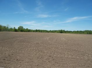 LOT 5 Lapeer Rd, Smiths Creek, MI 48074
