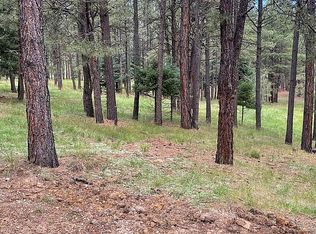 0 Calle De Las Palomas #1, Angel Fire, NM 87710
