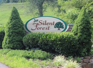 Hideaway Drive, Canton, NC 28716