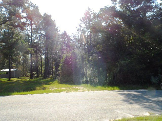 2nd image of 144 Lark Dr
