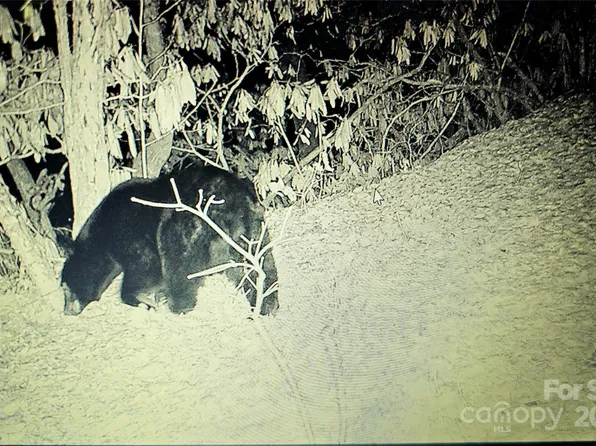 0 Long Winding Rd, Sylva, NC 28779