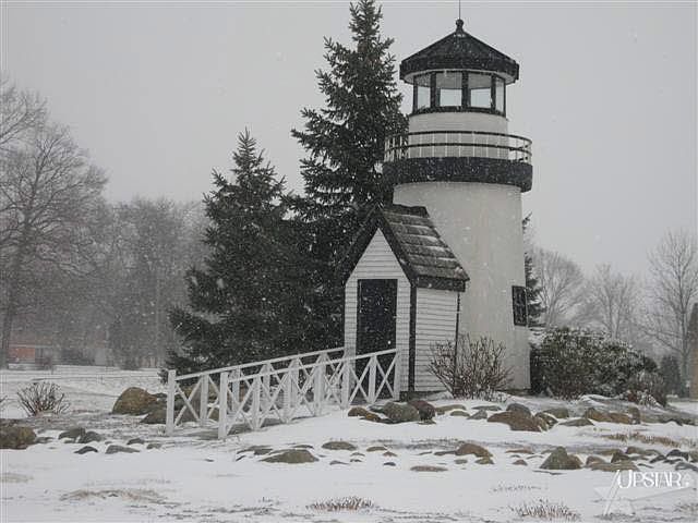 2nd image of 4157 Shoreline Blvd