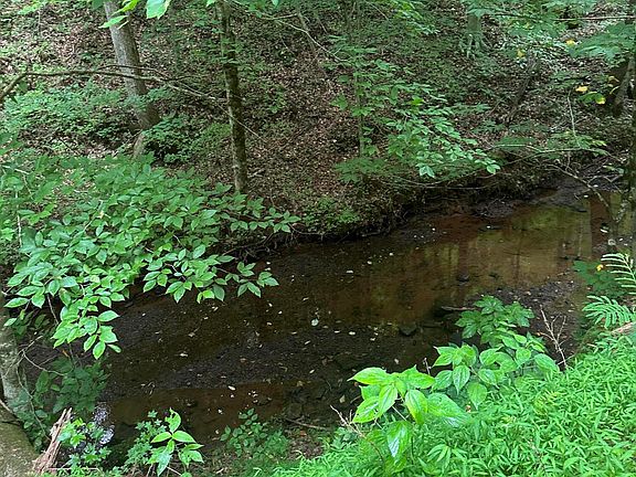 4th image of County Road 484