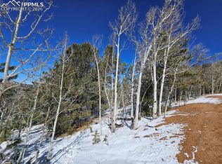 829 Princess Rd, Cripple Creek, CO 80813