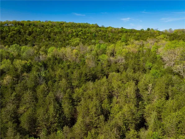 401 County Road 246 St, Eureka Springs, AR 72631