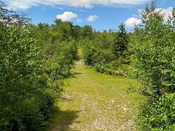 5th image of 775 Old County Road