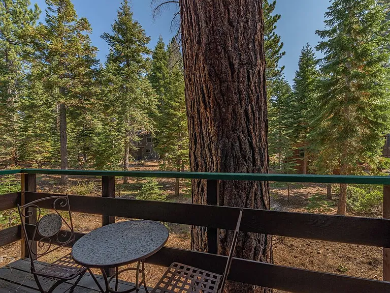 5658 Rhodesia Rd — Photo 19