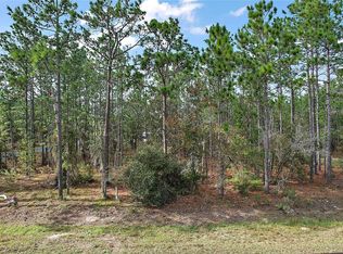County Road 243b LOT 1, Wildwood, FL 34785