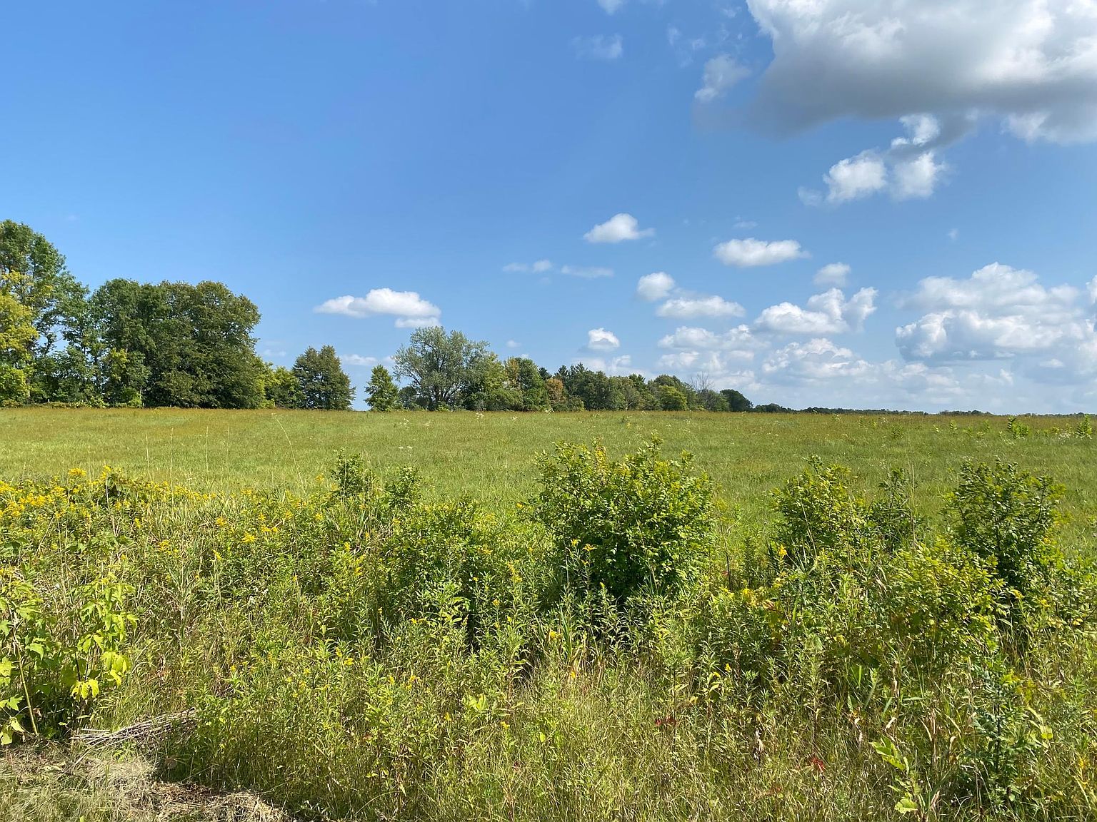 3 Quandam Ln, Center City, MN 55012 MLS 6263586 Zillow