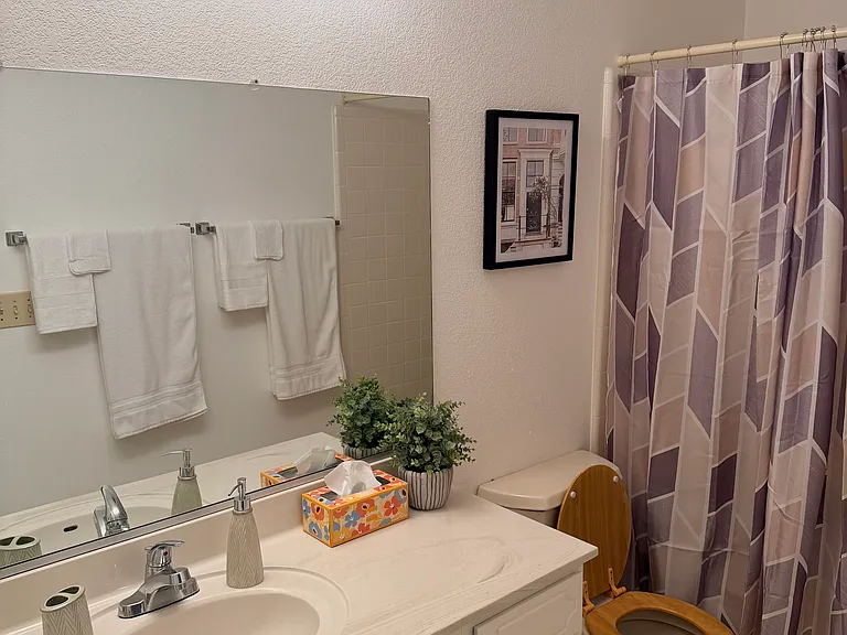 Guest bathroom