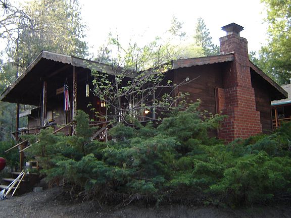 Evergreen Cypress in front