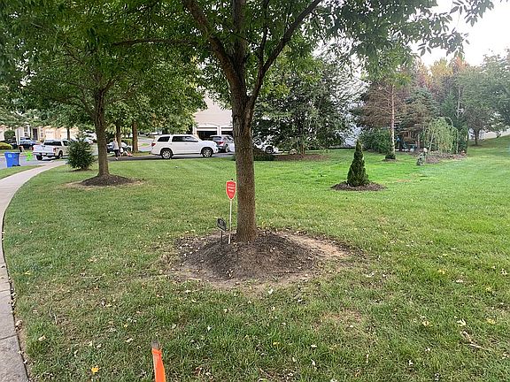 Largest lot in the community