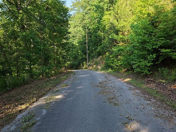 2nd image of 115 Carters Overlook Dr