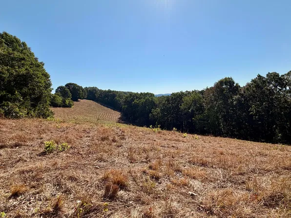 9479 State Highway 176, Walnut Shade, MO 65771