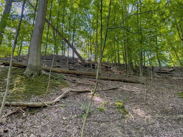 10585 Whitewood Rd, Brecksville, OH 44141