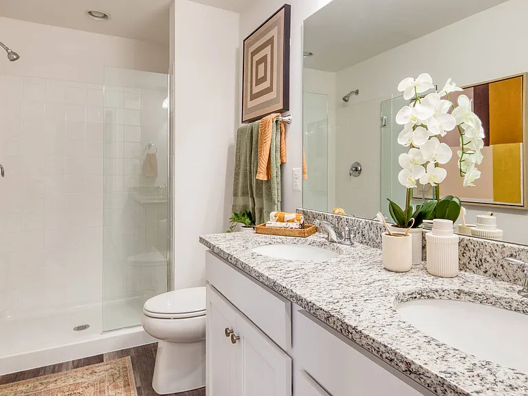 Double Vanity Sinks