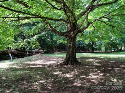 0 Sardis Rd N, Charlotte, NC, 28270