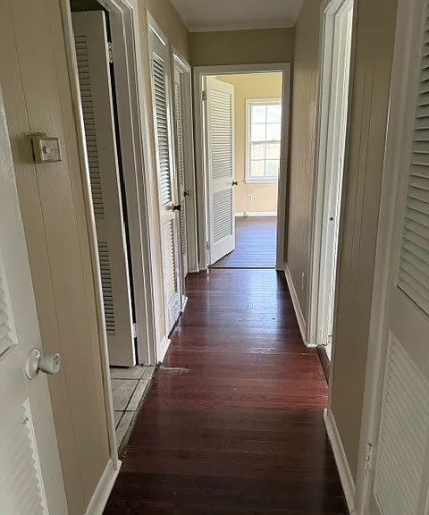 17 Carter Dr — Photo 10