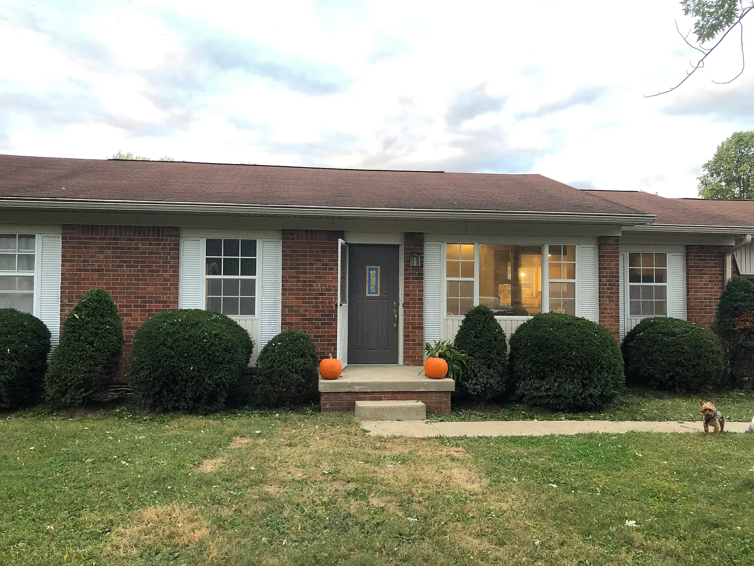 3 bed, 1200 sqft, $1,950 — Photo 1