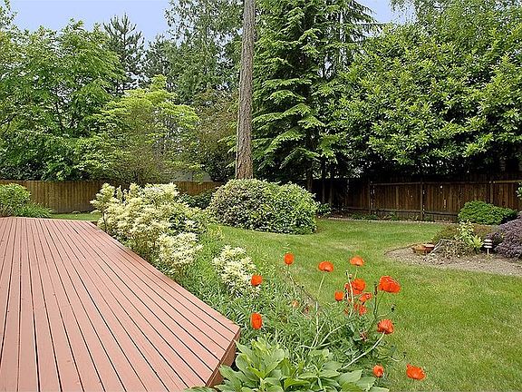 Backyard1 (West)