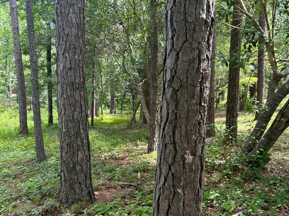 800 Blue Gill Court SE, Bolivia, NC 28422