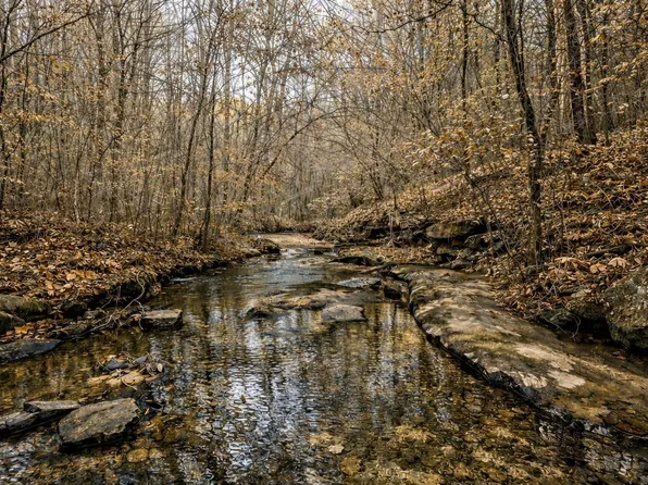 1656 Peyton Mountain Rd, Dennard, AR 72629