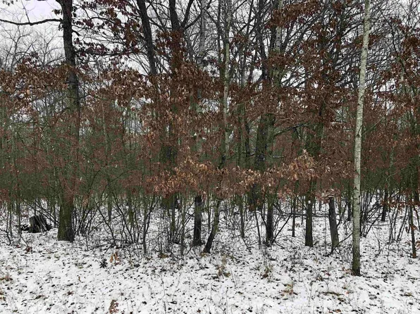 11516 N Fordyce Rd, Farwell, MI 48622