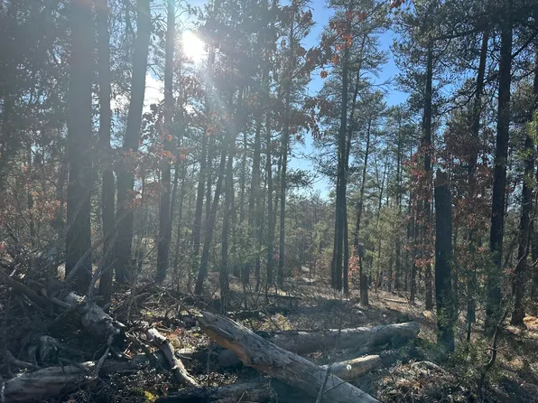 Wilderness Trl, Grayling, MI 49738