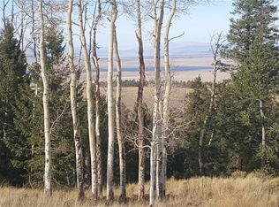 1440 Blacksmith Rd, Hartsel, CO 80449