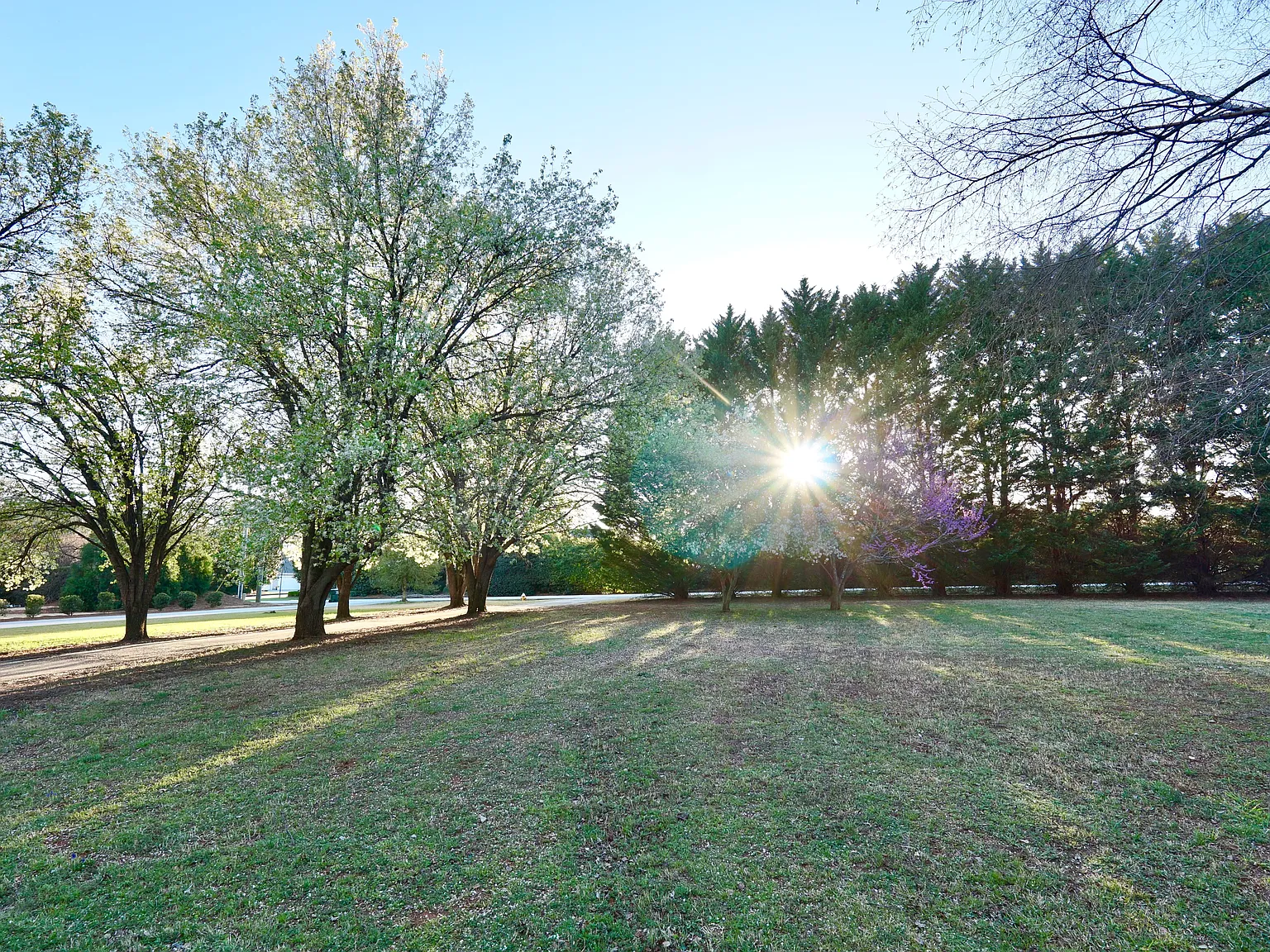 3 bed, 1300 sqft, $4,000 — Photo 2