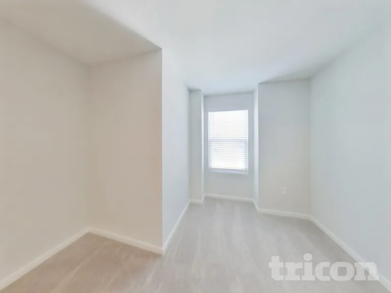 64 Brazil Nut Cir — Photo 10