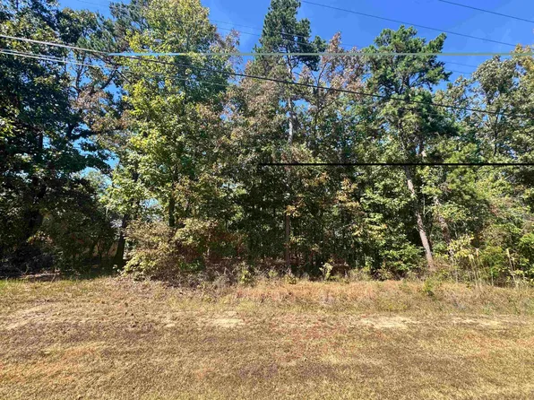 LOT 216 Sandpiper Point Lot 216, Counce, TN 38326