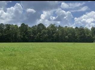 2697 River Rd, Silver Creek, MS 39663